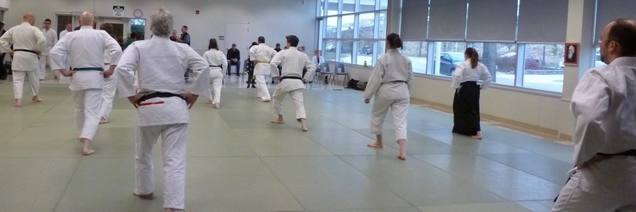 New Adult Aikido Class on Friday